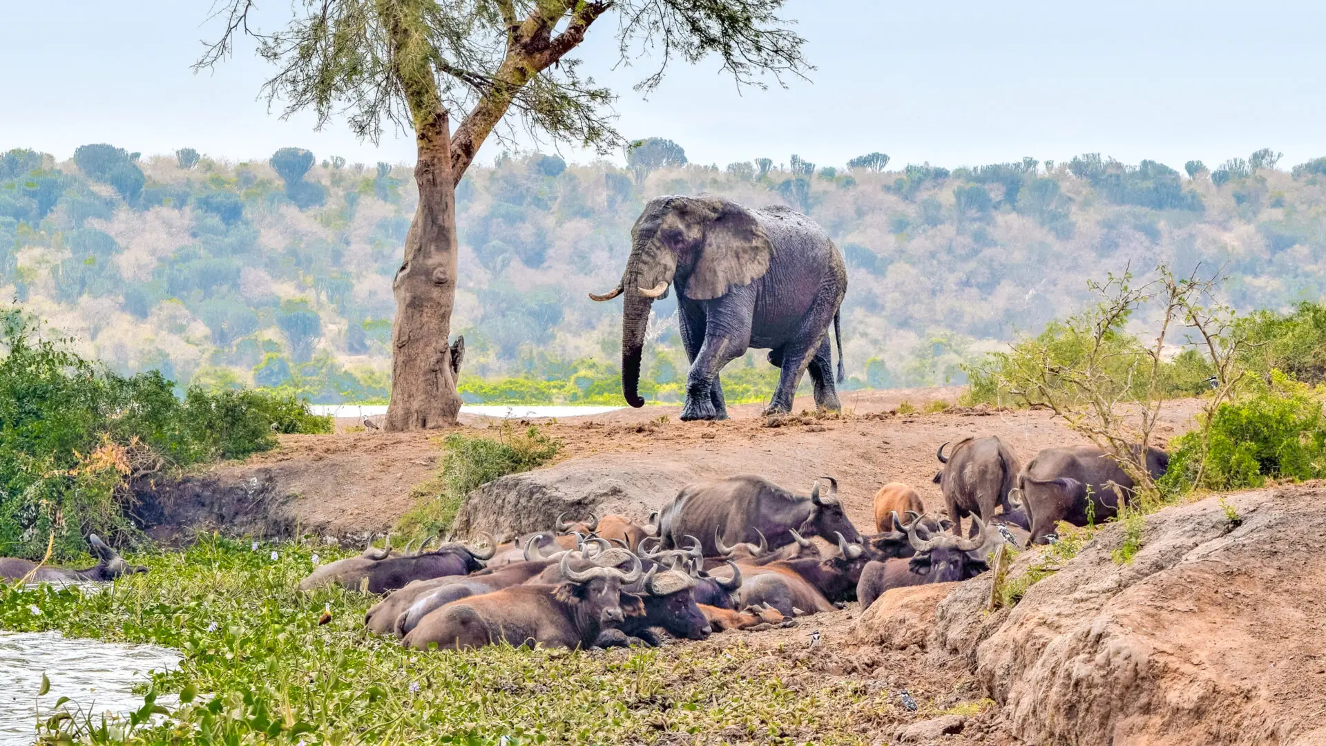 Kidepo Valley