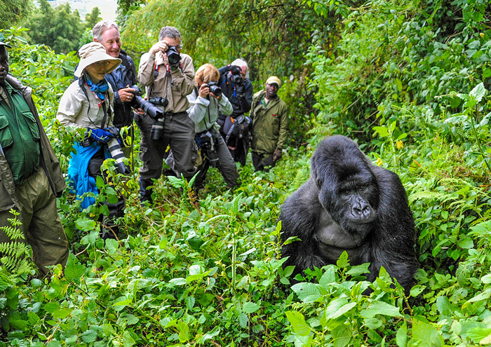 Lake Mburo